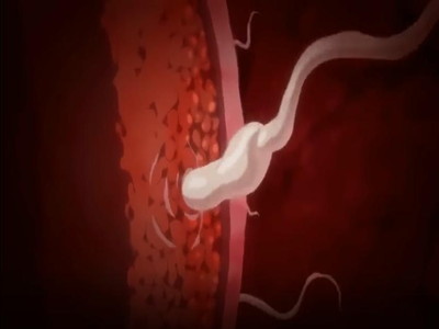 Thumbnail of post image 106