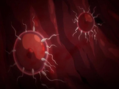 Thumbnail of post image 028