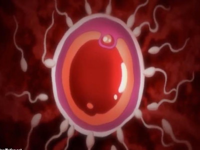 Thumbnail of post image 131