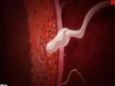 Thumbnail of post image 103