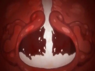 Thumbnail of post image 097